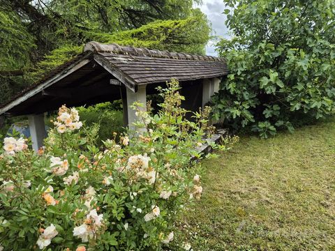 photo no. 18