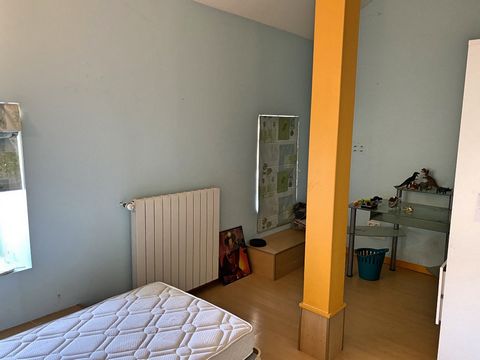 photo no. 12