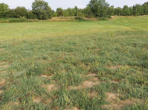 In ruhiger und erholsamer Lage wird Sie dieses 403 m2 große Grundstück mit seiner Lage in der Nähe aller Annehmlichkeiten (1 Minute zu Fuß) verführen: Supermarkt, Mediathek, Ärztezentrum, Bar, Pizzeria und der schnellen Anbindung an Montauban, das 10...