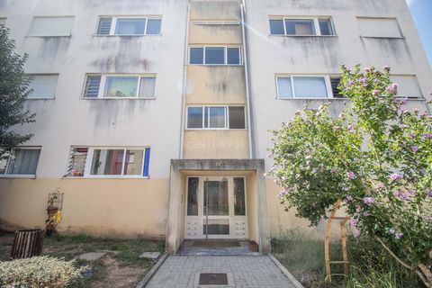 Appartement de 2 chambres situé au 2ème étage sans ascenseur avec une surface brute privée de 95 m2, il dispose de deux chambres avec placards, salon spacieux avec balcon, cuisine avec garde-manger et buanderie et salle de bain complète. Il n’y a pas...