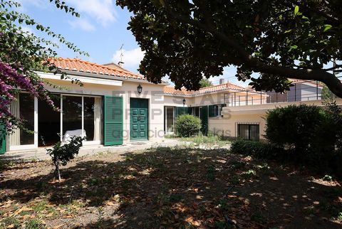 Gelijkvloers en vrijstaand huis in Pampilheira, Cascais, zeer goed gelegen in een woonwijk, in een rustige straat met weinig verkeer en op een paar minuten van het centrum. Deze villa op een perceel van 350m2, verdient oorspronkelijk een renovatie, h...