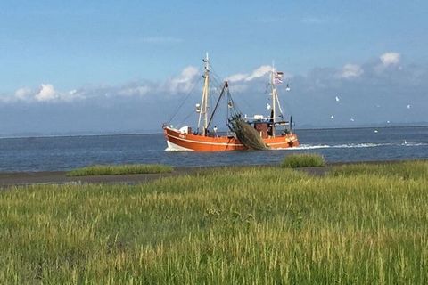 Butje est tout simplement magnifiquement situé au centre de Fedderwardersiel, à 1 minute à pied du port de coupeur,