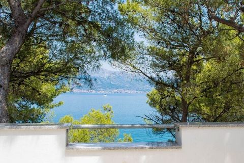 Villa Rosea is een luxe kustplaats met een strand en kristalhelder zeewater. Het is gelegen in het prachtige vissersdorpje Slatine, een rustige en vredige plek op het eiland Ciovo / Kroatië, in het hart van de Dalmatische Adriatische kust. Het ligt w...