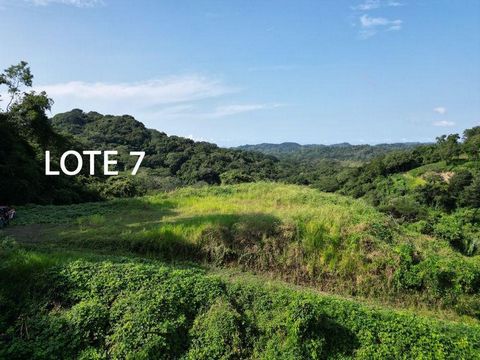 Located in the Buena Vista neighborhood, just 5 minutes drive from Samara Beach, this gorgeous elevated land features stunning 360° view of the beautiful mountains and jungle. Ideal for people who want to enjoy the beautiful nature of Costa Rica whil...