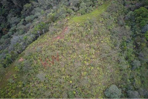 Ich verkaufe ein 53 Hektar großes Grundstück in Las Nievas Paraje de la Elsa, Gemeinde Queremal, Gemeinde Dagua, Zugang über eine asphaltierte Straße nur 1 Stunde und 40 Minuten von der Stadt Cali und 20 Minuten vom Touristengebiet Las Chorreras entf...