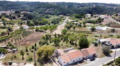 Ce terrain de 2 714m², situé à Peso, Caldas da Rainha, est une opportunité unique pour ceux qui recherchent un espace avec un grand potentiel de construction dans une zone calme, bien située, et offrant une vue très agréable. Caractéristiques Princip...