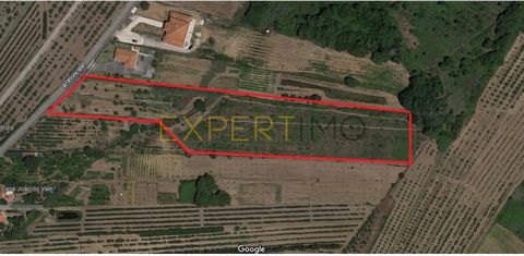 Cod. Ext. 7058 Mixed land, with 12560 m2 , 30 meters of road front, composed of two articles, one with 3320m2 where you can build a villa with +- 300m2, more basement and annexes, and another with 9240m2 agricola. The articles are separated by a smal...