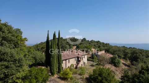 Podere Le Radici befindet sich inmitten der toskanischen Landschaft und besteht aus folgenden Gebäuden: Einem typisch toskanischen Bauernhaus auf zwei Ebenen mit einer Gesamtfläche von 520 Quadratmetern, das Folgendes umfasst: - 7 Schlafzimmer mit ei...