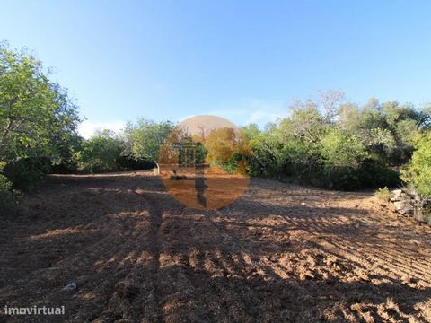 Magnifique terrain mixte situé dans un environnement calme où prédominent les sons de la nature et les paysages dégagés de la campagne et de la mer. Avec un accès par route goudronnée, il se compose d’une maison de plain-pied, avec 3 chambres, cuisin...