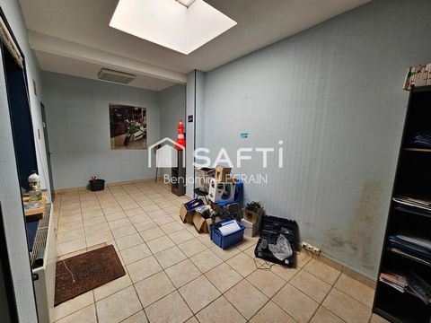 photo no. 11