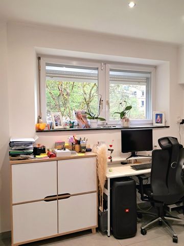 photo no. 8