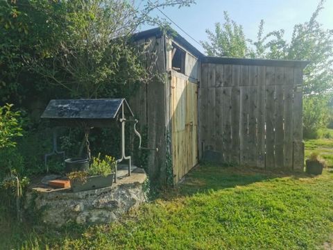 photo no. 11