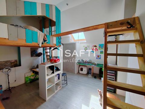 photo no. 8