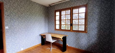 photo no. 11
