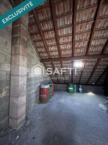 photo no. 14