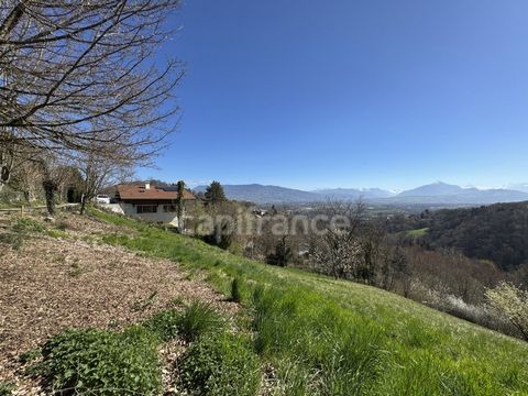 photo no. 2