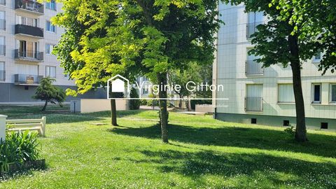 photo no. 10