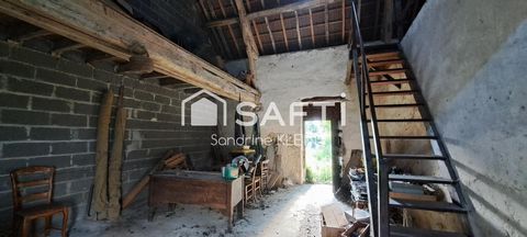 photo no. 11