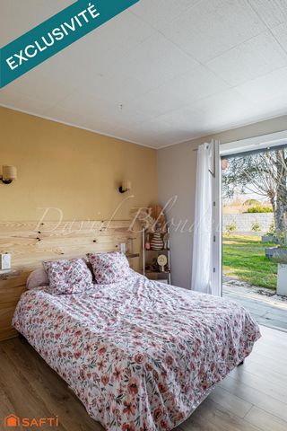photo no. 11