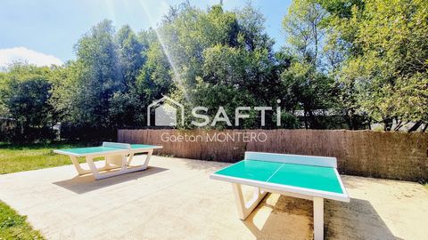 photo no. 13