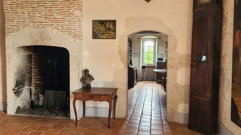 photo no. 12