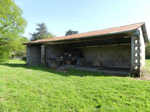 photo no. 8