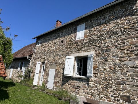 photo no. 4