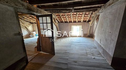 photo no. 17