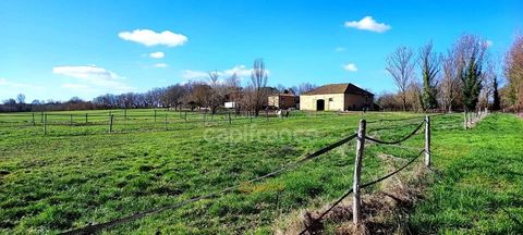 Propriété agricole avec maison de 205 m2, grange de 415 m2 et ancien séchoir à tabac de 270 m2 à vendre à FLEURANCE (32), sur terrain de 15 800 m2