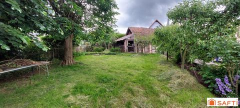 photo no. 15