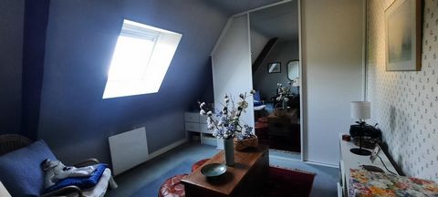 photo no. 9