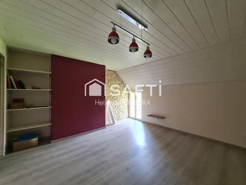 photo no. 6