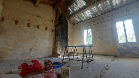 photo no. 7