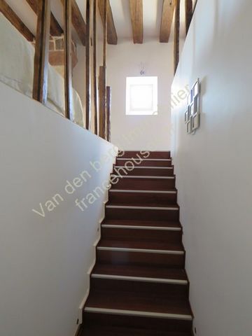 photo no. 19