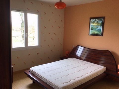 photo no. 6