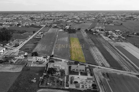 Terreno rústico para construção com furo e 4690m2 de área, sendo aproximadamente 2000m2 para malha urbana, confirmado no PDM e no Departamento do Urbanismo da Câmara Municipal de Salvaterra de Magos. A rua tem infraestruturas de luz, água e esgoto. L...