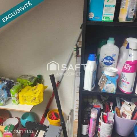 photo no. 11