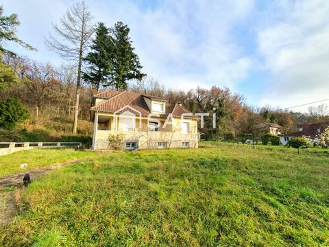 Belle maison avec sous sol total sur son terrain de 2100m²