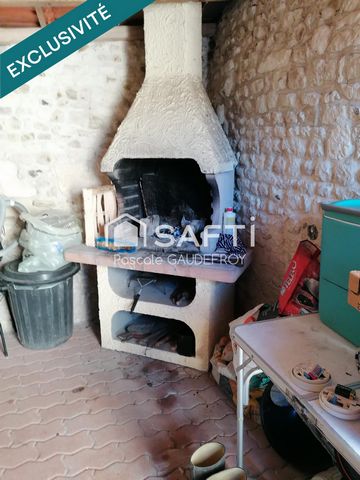 photo no. 11