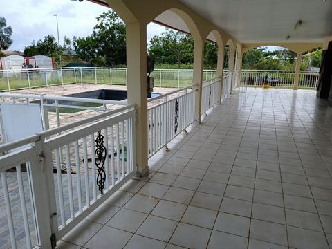 photo no. 10