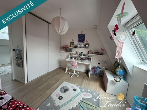 photo no. 11