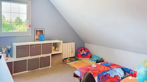 photo no. 15