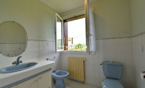 photo no. 16