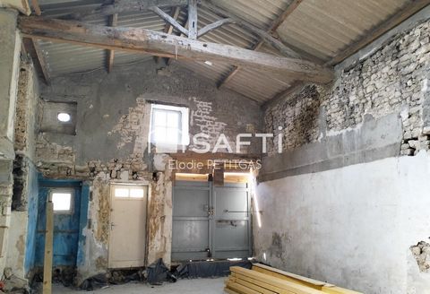 photo no. 12