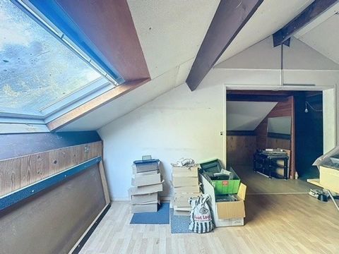 photo no. 8