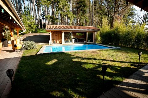 photo no. 9