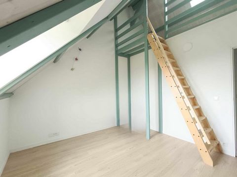 photo no. 12