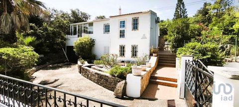 Num aldeamento exclusivo da vila de São Brás de Alportel situa-se esta linda e típica moradia T2 com piscina e garagem. No primeiro andar podemos encontrar uma cozinha equipada, dispensa, sala de estar com lareira e ar condicionado, uma casa de banho...