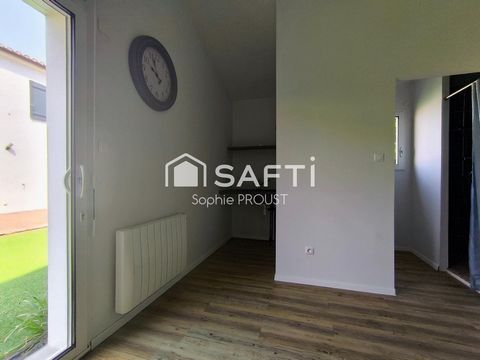 photo no. 17