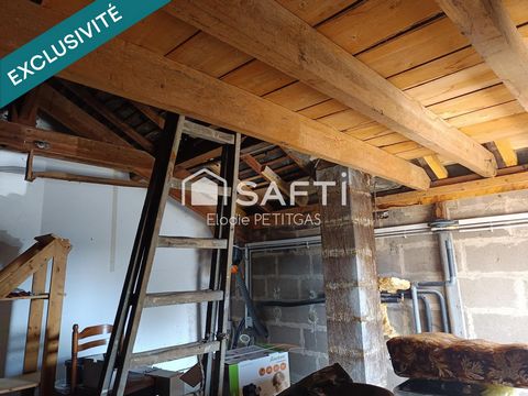 photo no. 10